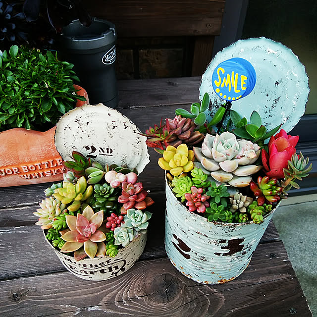 多肉植物 リメイク缶のおしゃれなアレンジ・飾り方のインテリア実例