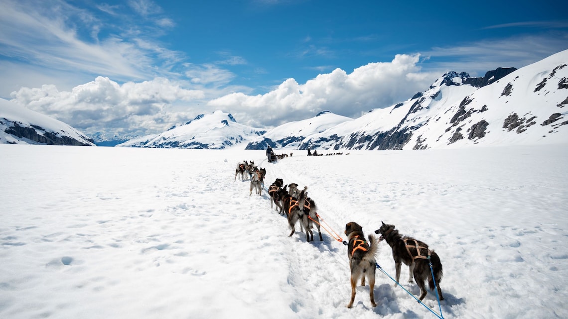 Mendenhall Glacier Dog Sledding & Helicopter Tour from Juneau