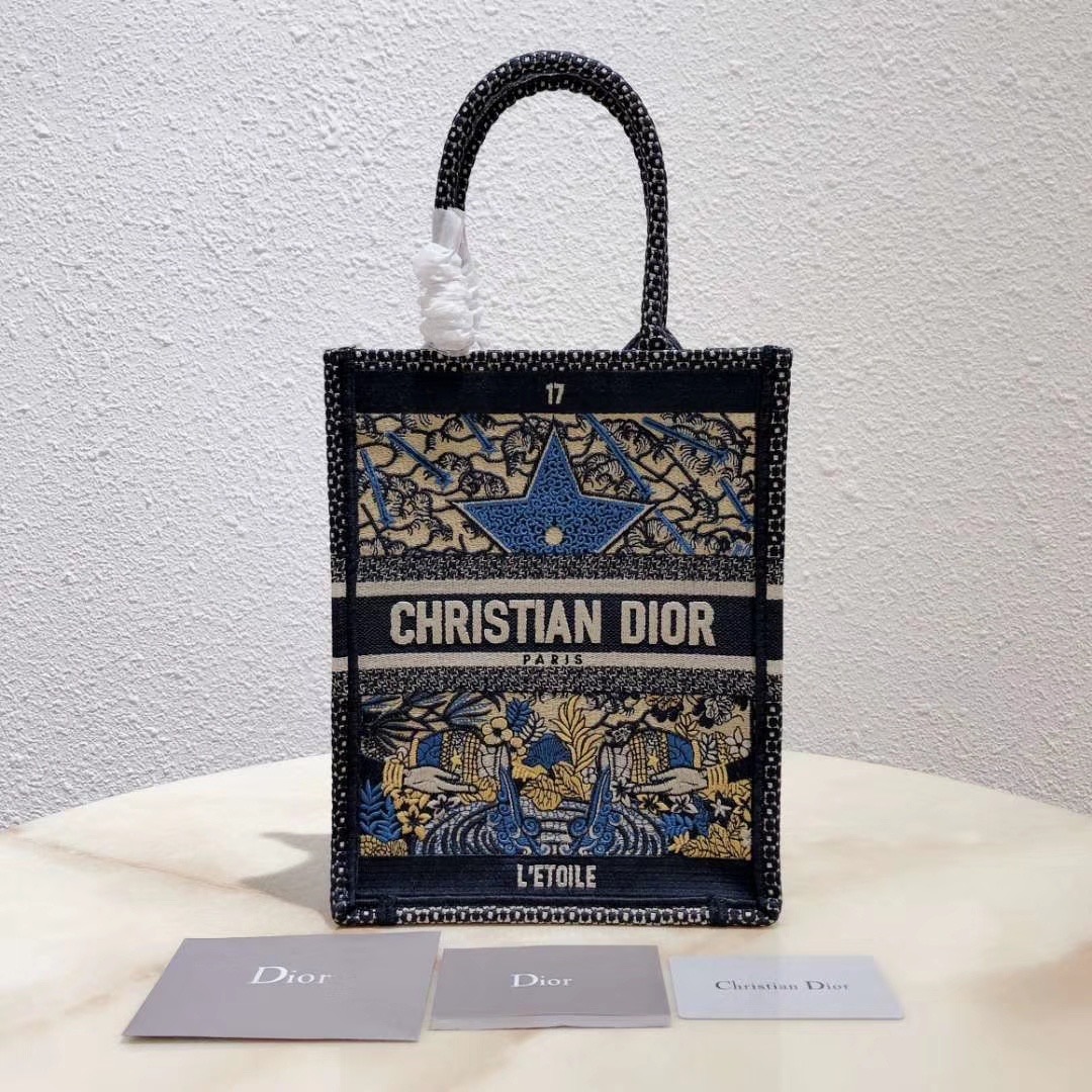Christian Dior MULTICOLOR TAROT SOLEIL EMBROIDERED VERTICAL DIOR