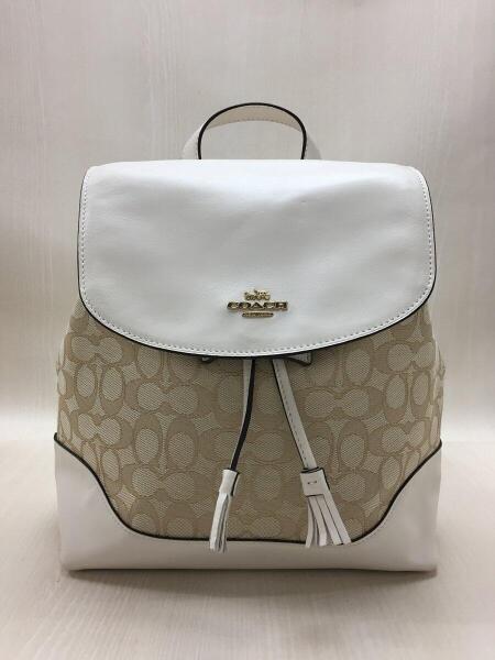 COACH コーチ シグネチャー リュックサック バックパック F73313