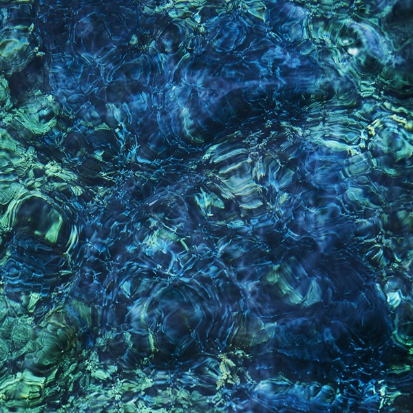 青葉市子 ニューアルバム『Luminescent Creatures』アナログレコードと