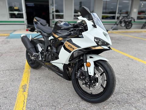 KING COLE AVISO FIRE BLADE ホワイト KING COLE AVISO FIRE BLADE