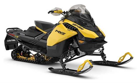New 2024 Ski-Doo MXZ Adrenaline 137 850 E-TEC ES Ripsaw 1.25 Neo