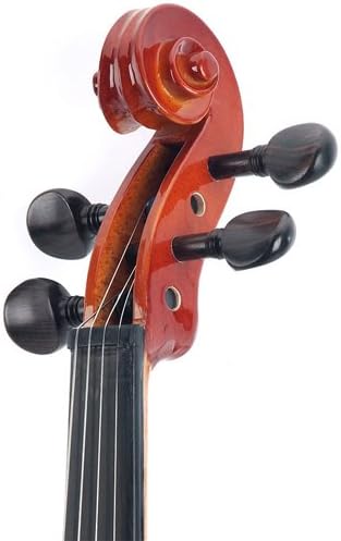Cecilio Left-Handed Violin 4/4 (Full Size) CVN-320 – Cecilio Music