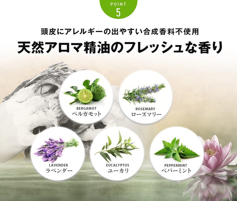 ケフトルEX スカルプシャンプー詰替え500ml-[セラピュアストア]