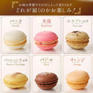種類はおまかせ！ふるさと納税限定マカロン(12個入) お菓子 マカロン