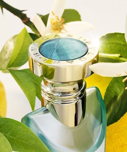 ブルガリ オ パフメ テ ヴェール オードトワレ 75mL（香水）｜BVLGARI