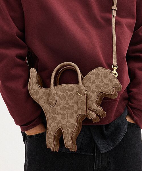 COACH（コーチ）の「レキシー バッグ・シグネチャー キャンバス