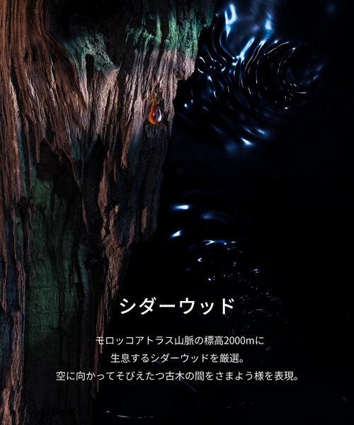 レプリカ オードパルファン ソウル オブ ザ フォレスト (30mL)（香水