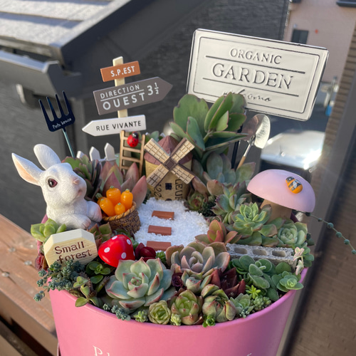 プレゼントにも〜受注制作 大 うさぎちゃん箱庭風多肉植物寄せ植え