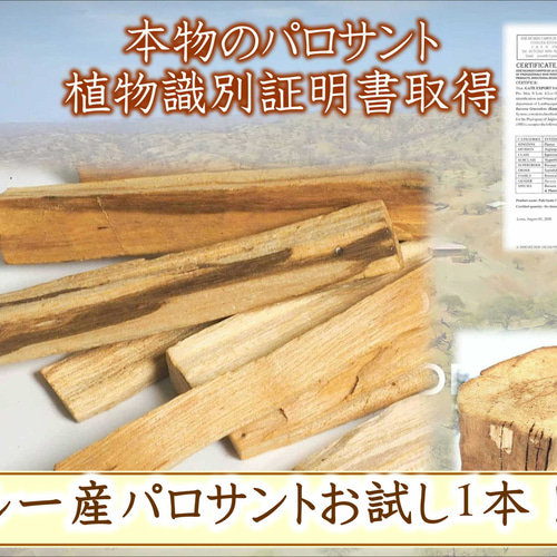 本物証明の鑑定書取得品！！！ペルー産☆パロサント1本☆活用