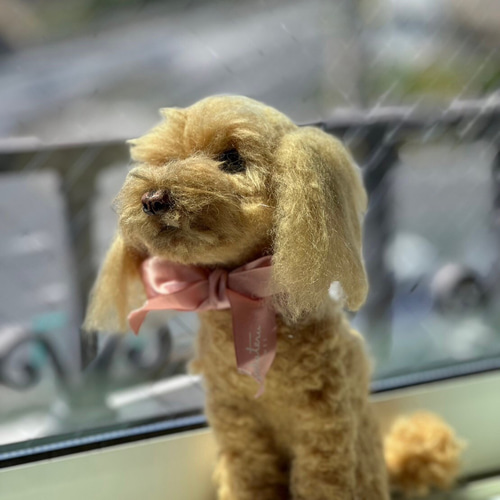 羊毛フェルト トイプードル 犬 オーダー トイプー うちの子 羊毛
