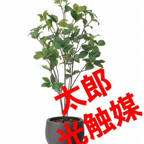光触媒 人工観葉植物 フェイクグリーン ナチュラルサラサドウダン1.0