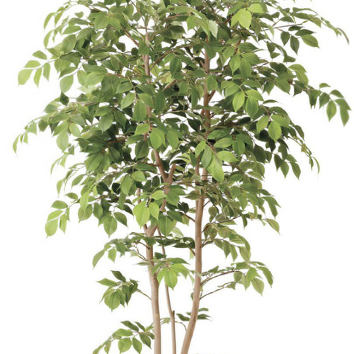 光触媒 人工観葉植物 ウォールグリーン マウンテンアッシュ1.8 植栽付