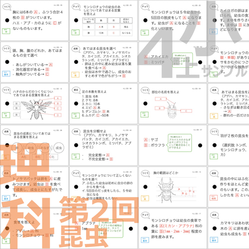 中学受験 暗記カード【4年上 理科 全セット 1-19回】 組分けテスト対策
