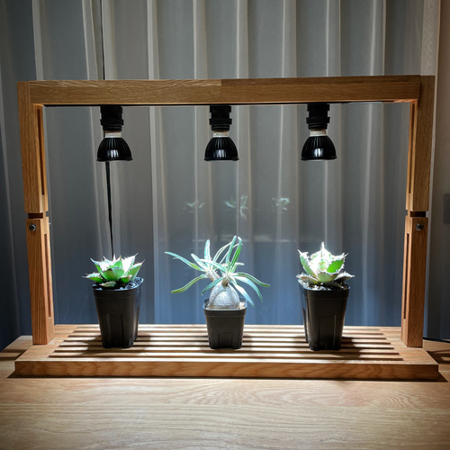 植物育成LEDライトスタンド［ナラ3灯］ 一輪挿し・花瓶・花器 8929