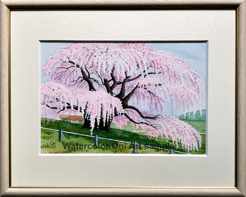 アクリル画 原画 「河津桜02」額縁付 SMサイズ 風景画 アクリル画 原画
