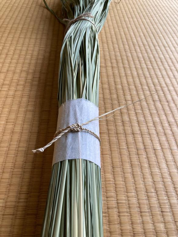 お飾り用〈中〉】乾燥真菰(まこも)葉［長さ125cm］300g 上質品 その他