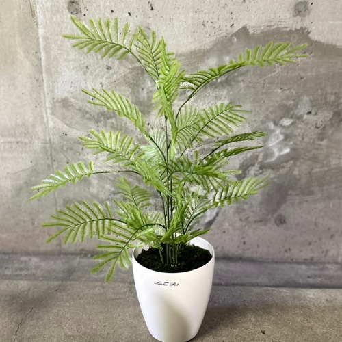 光触媒 人工観葉植物 フェイクグリーン ねむの木 エバーフレッシュ7454