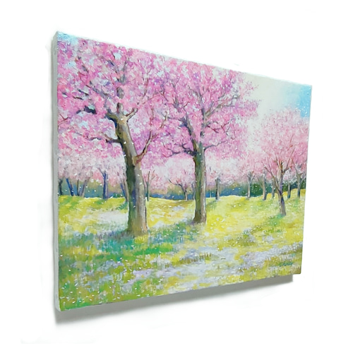 一点物】『 桜ー春風 』桜2025 油絵 F6号キャンバス 油彩 油画