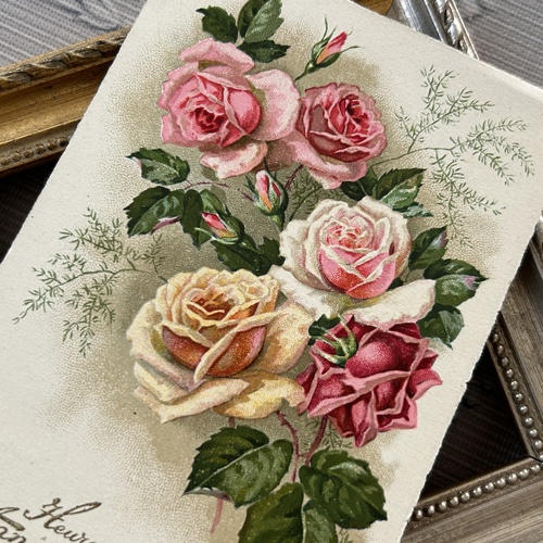 アンティークポストカード 薔薇 Rose 額装 インテリア小物 花柄 M