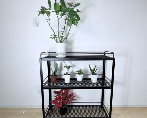 ボタニカルシェルフ アイアン 観葉植物棚 アガベ育成棚 観葉植物 棚