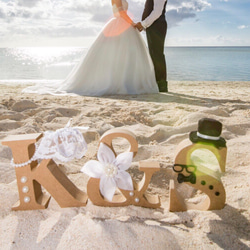 美女と野獣風 オリジナルオブジェ 結婚式受付で❣️ ウェルカムボード