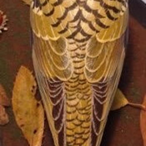 バードカービング・トラツグミ・木の鳥 彫刻 ありむら工房 通販