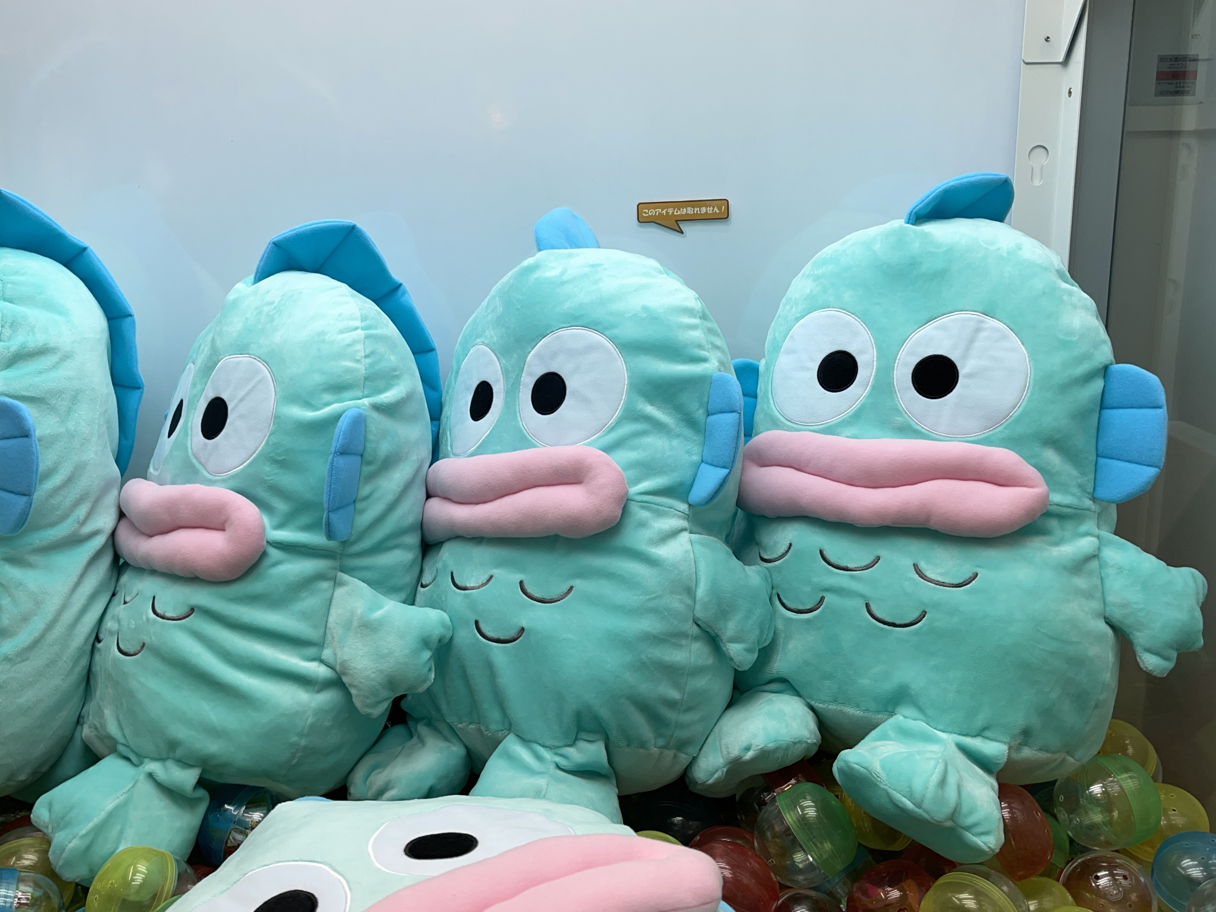 サンリオ】ハンギョドンのプロフィール！タコのさゆりちゃんとの関係や