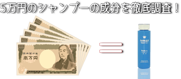 元美容師が解析】5万の価値ある？イヴァンカバブルインシャンプーの