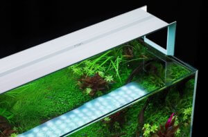 60cm水槽おすすめLEDライト】～34製品を比較してみた～｜ちゃんじゅん