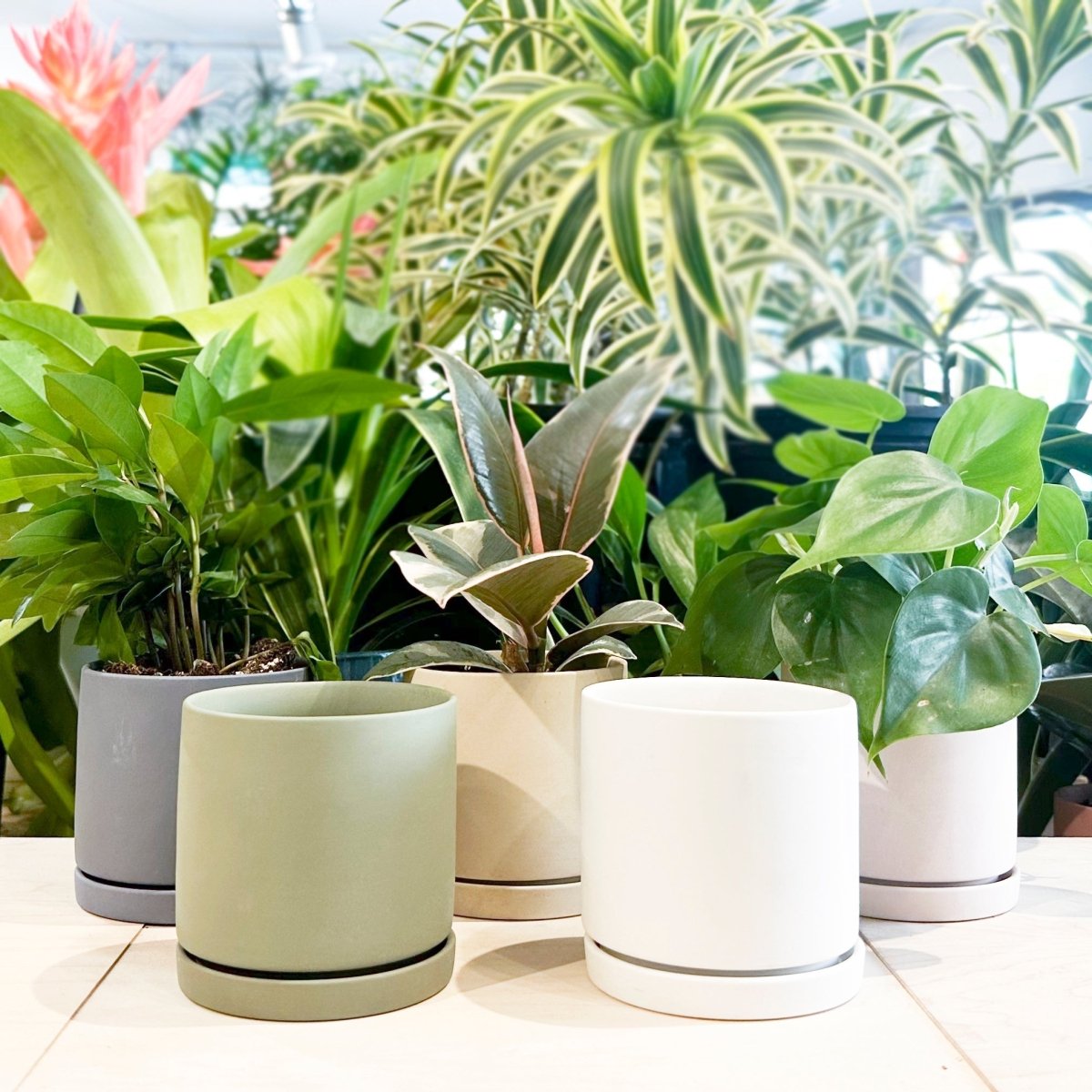 Dojo Porcelain Modern Indoor Plant Pot With Saucer Sets – Chive US