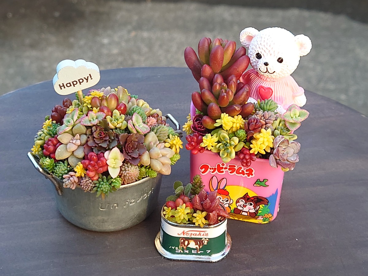 ちまちま寄せ✨ | CAINZ DIY Square