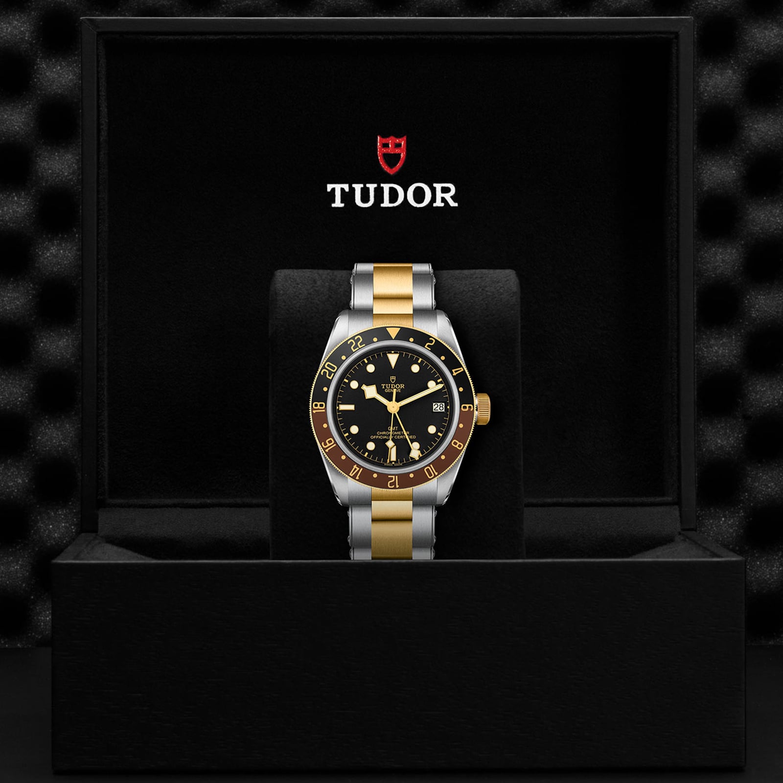 Tudor Black Bay GMT S&G M79833MN-0001 | Betteridge