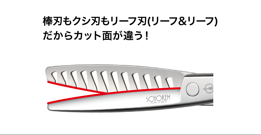 SCHOREM MASTER 12 | ミズタニシザーズ