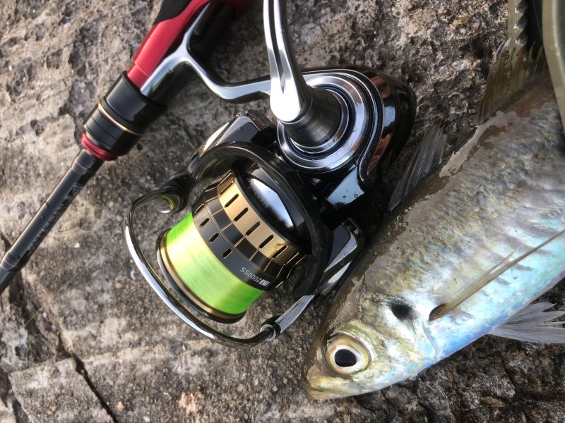 SLPW EX LTスプール│SLP WORKS