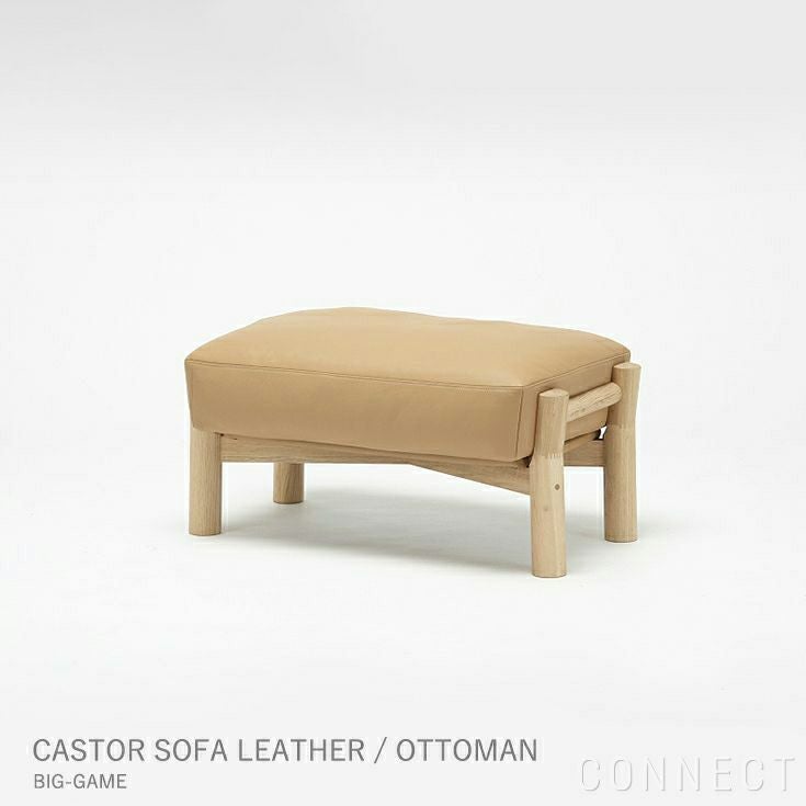 Karimoku New Standard（カリモク ニュースタンダード） / CASTOR SOFA