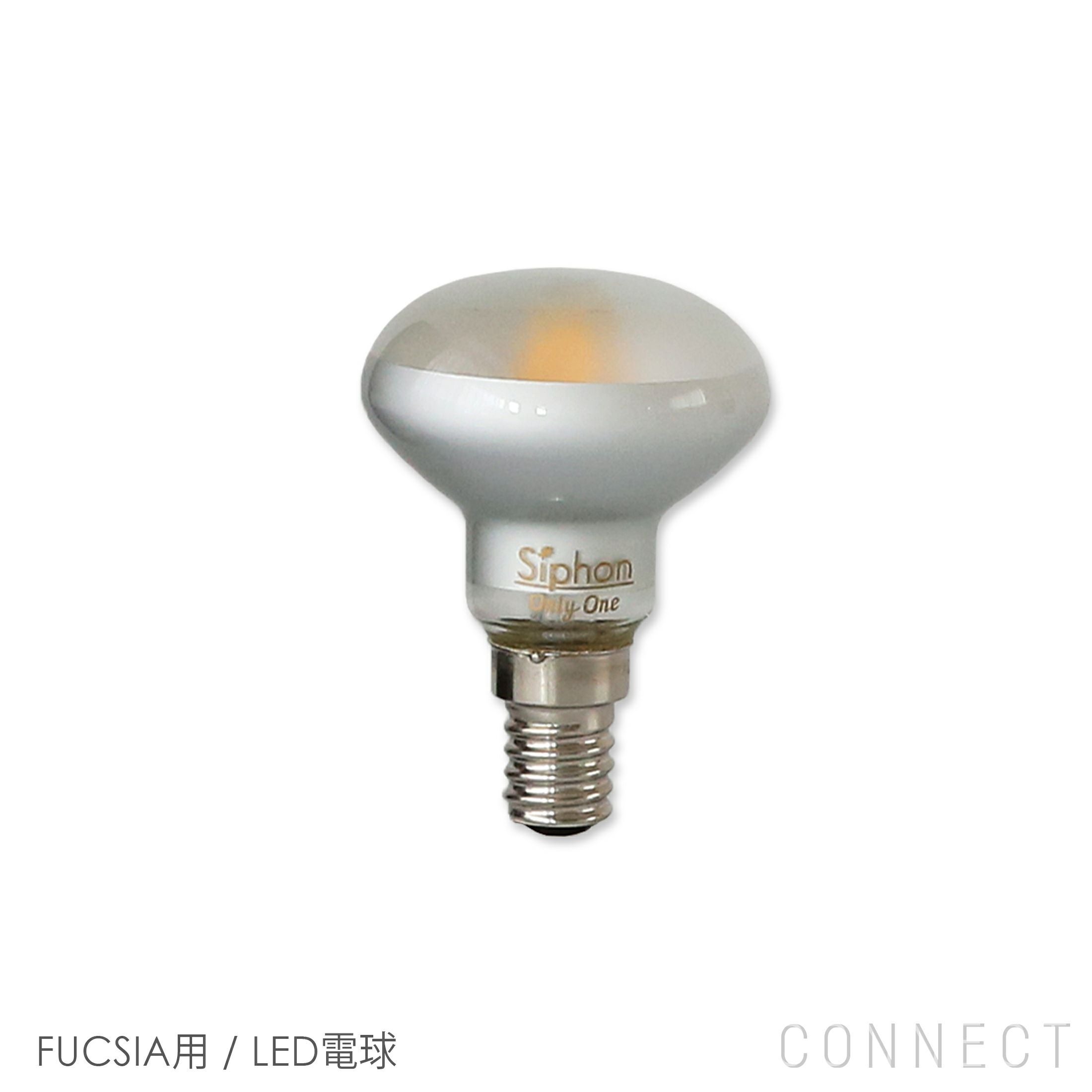 交換用】FLOS（フロス） / FUCSIA（フーシア）用 / LED電球 | CONNECT