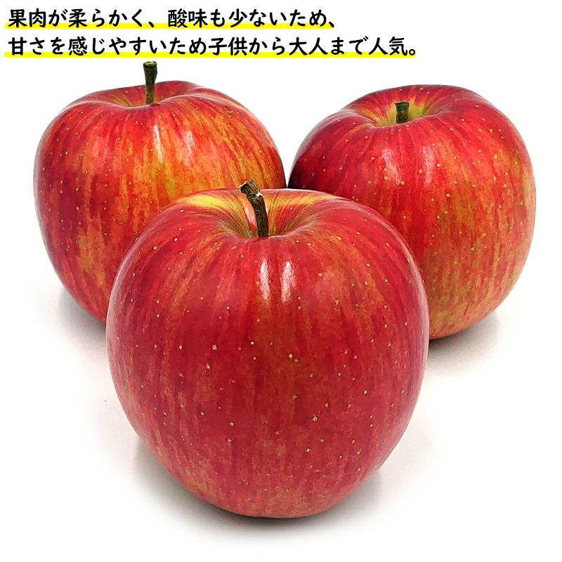 長野県産 りんご シナノスイート プレミアム 約3キロ | COCORO FARM