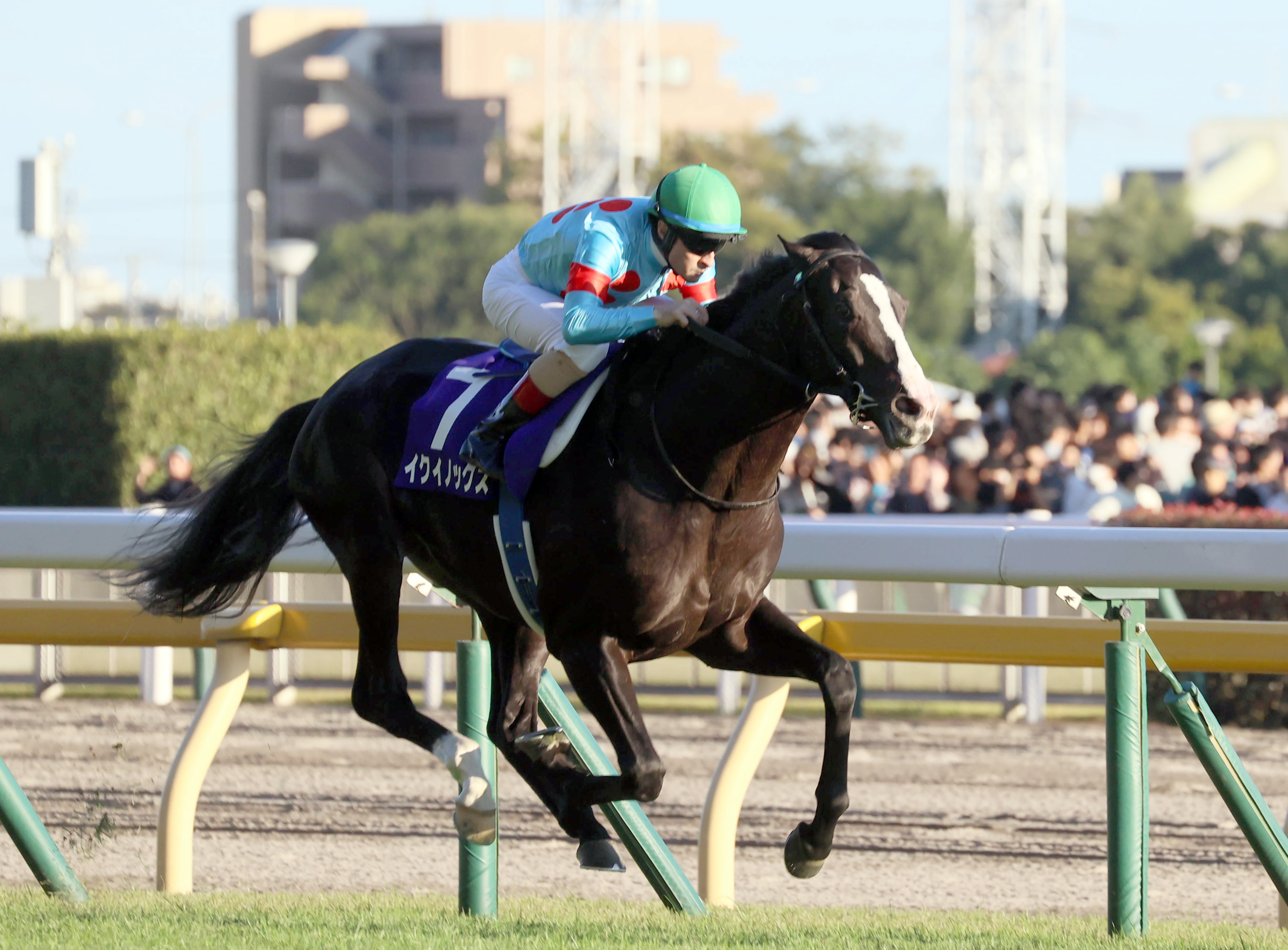 イクイノックスが日本レコードで2連覇 競馬の天皇賞・秋 - 産経ニュース