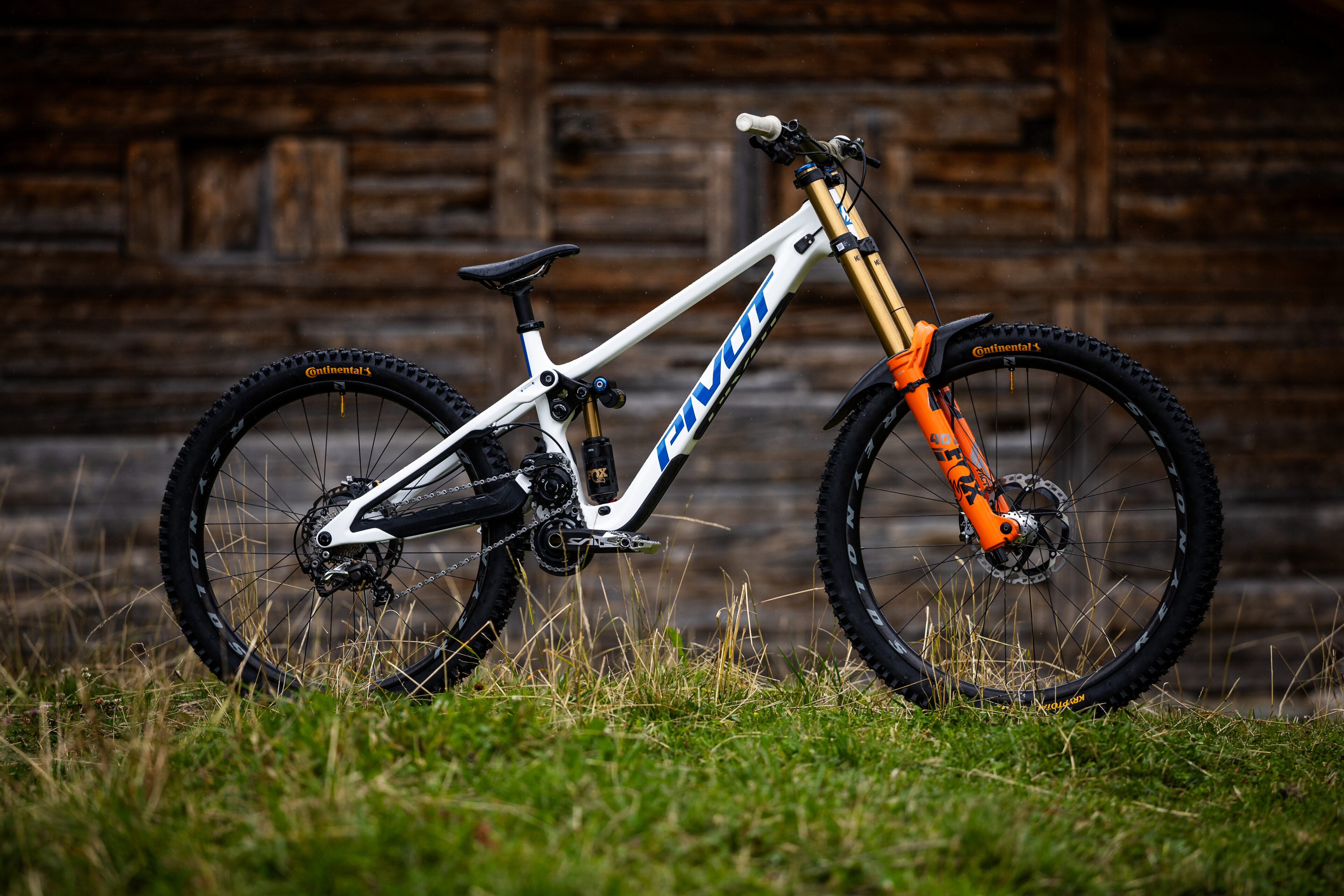 Phoenix - Pivot Cycles