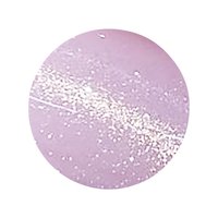 肌に溶け込む上品きらめき♡ICEGEL『GENTLEON ミストスター