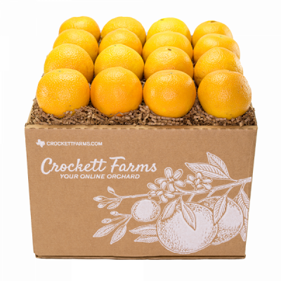Eighteen Pack Texas Oranges | Crockett Farms