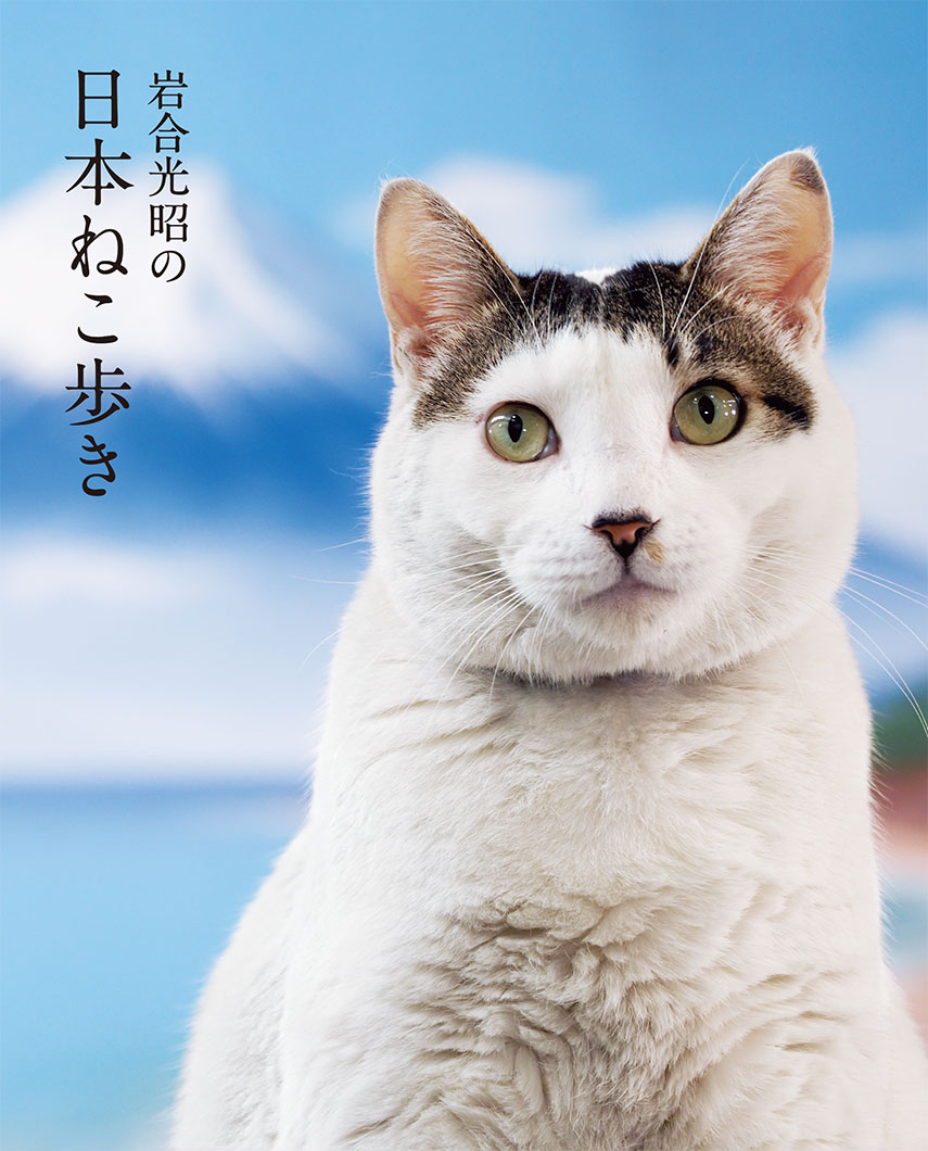 写真集『岩合光昭の日本ねこ歩き』 | 株式会社クレヴィス