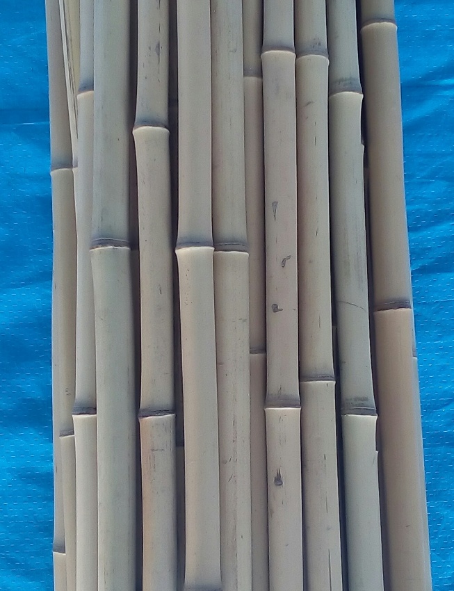 晒竹 黒竹 長穂 黒穂 | わら工品・縄・ひも類・ロープ 荒物・箒・竹箒