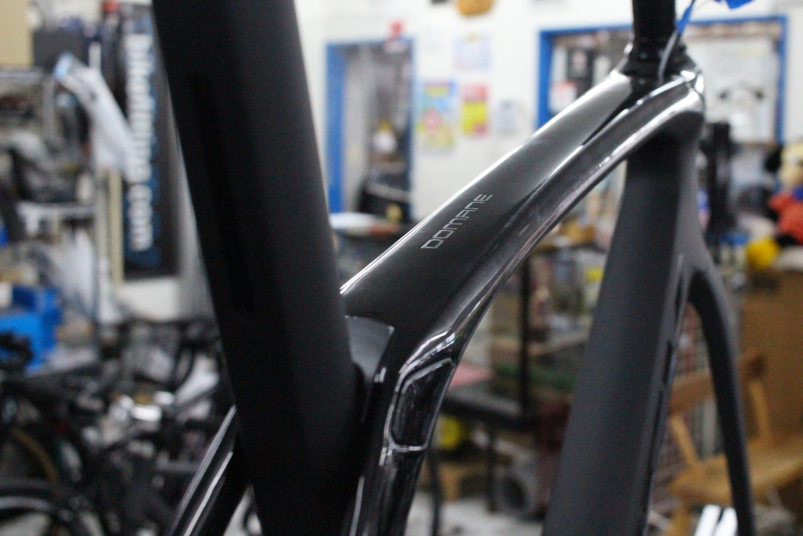 TREK DOMANE SL DISC フレームセット 2021モデル 54サイズ Matte/Gloss