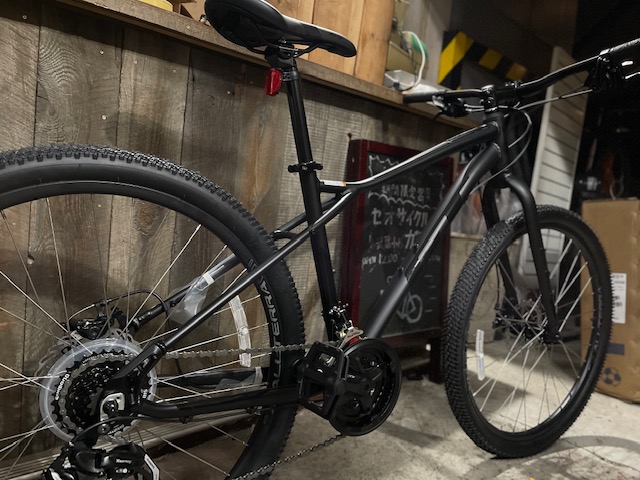 あんさま専用】GT AGGRESSOR SPORT RIGID Lサイズ AGGRESSOR SPORT