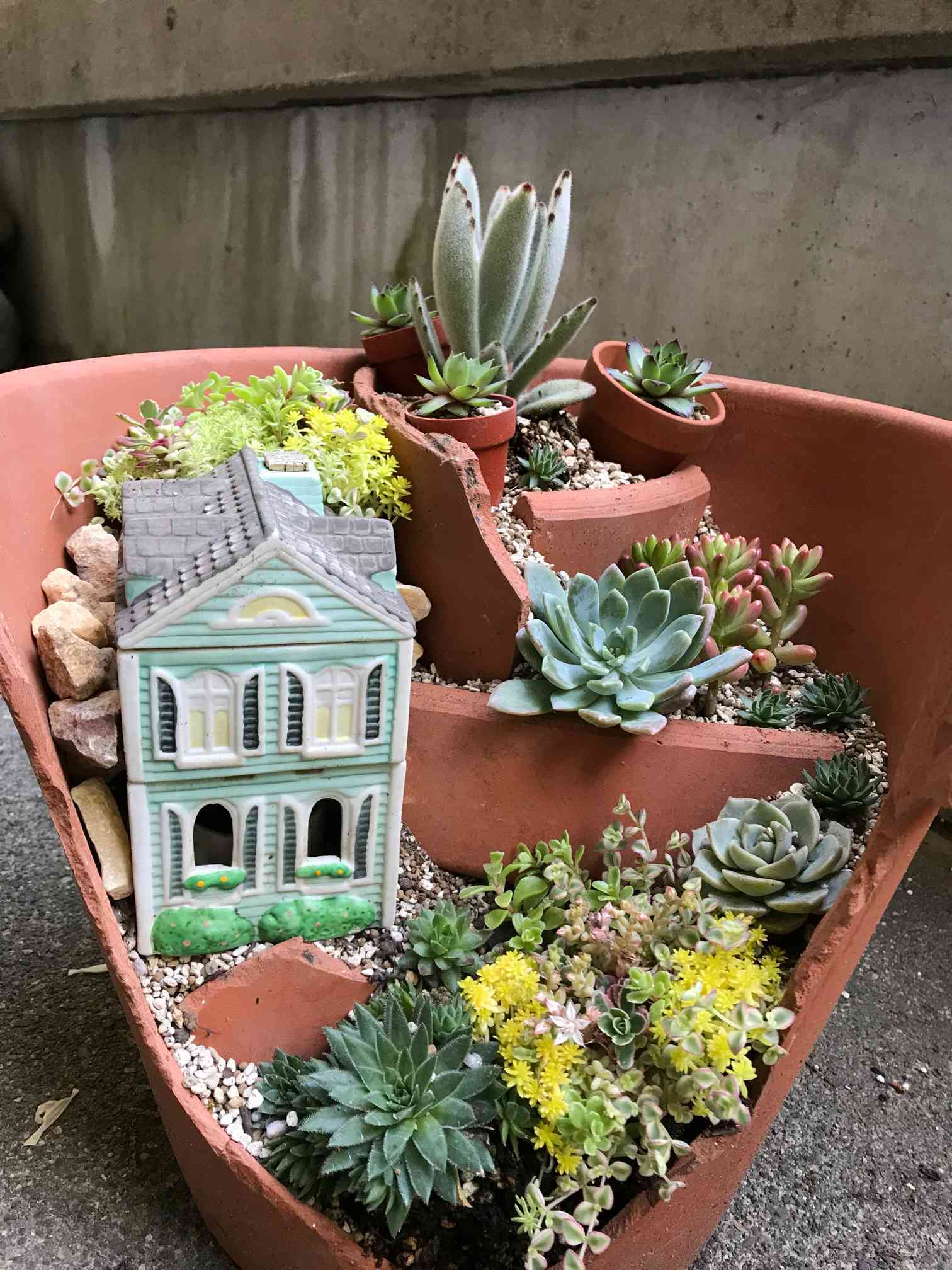 リメイク鉢 リメ鉢作家さん puchipochiさん ぷちぽち(多肉植物の鉢