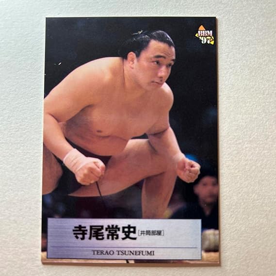 ハワイ勢にも臆さなかった寺尾 – 相撲、日々一考。