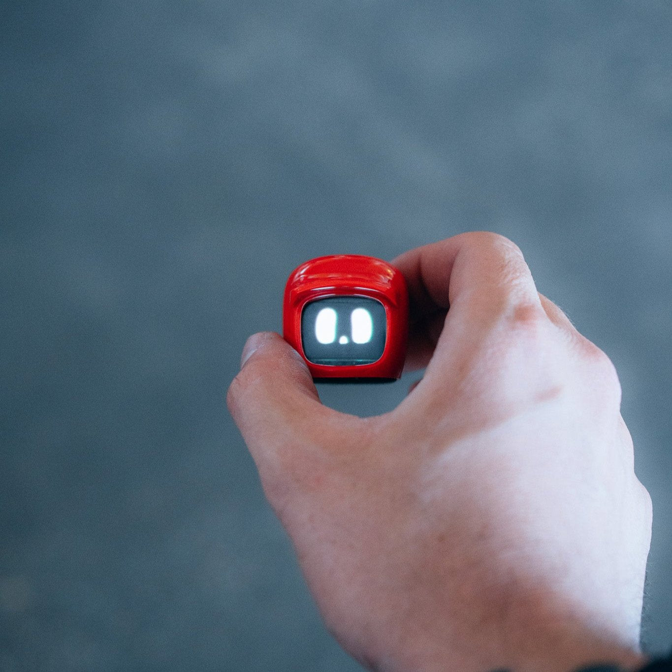 DSC01330.jpg?v=1726664015&